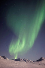 Night Skies 50ml Perfume Oil Rollerball