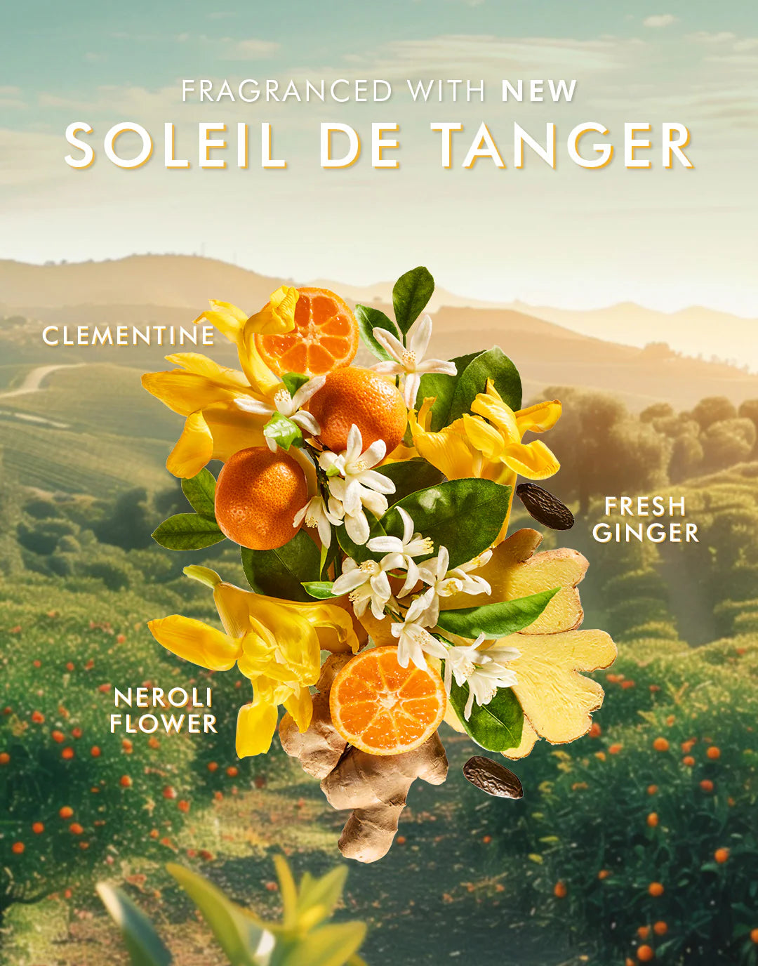 Hand Wash Soleil de Tanger