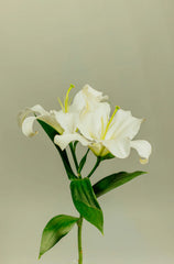 Gardenia 12 oz scented candle