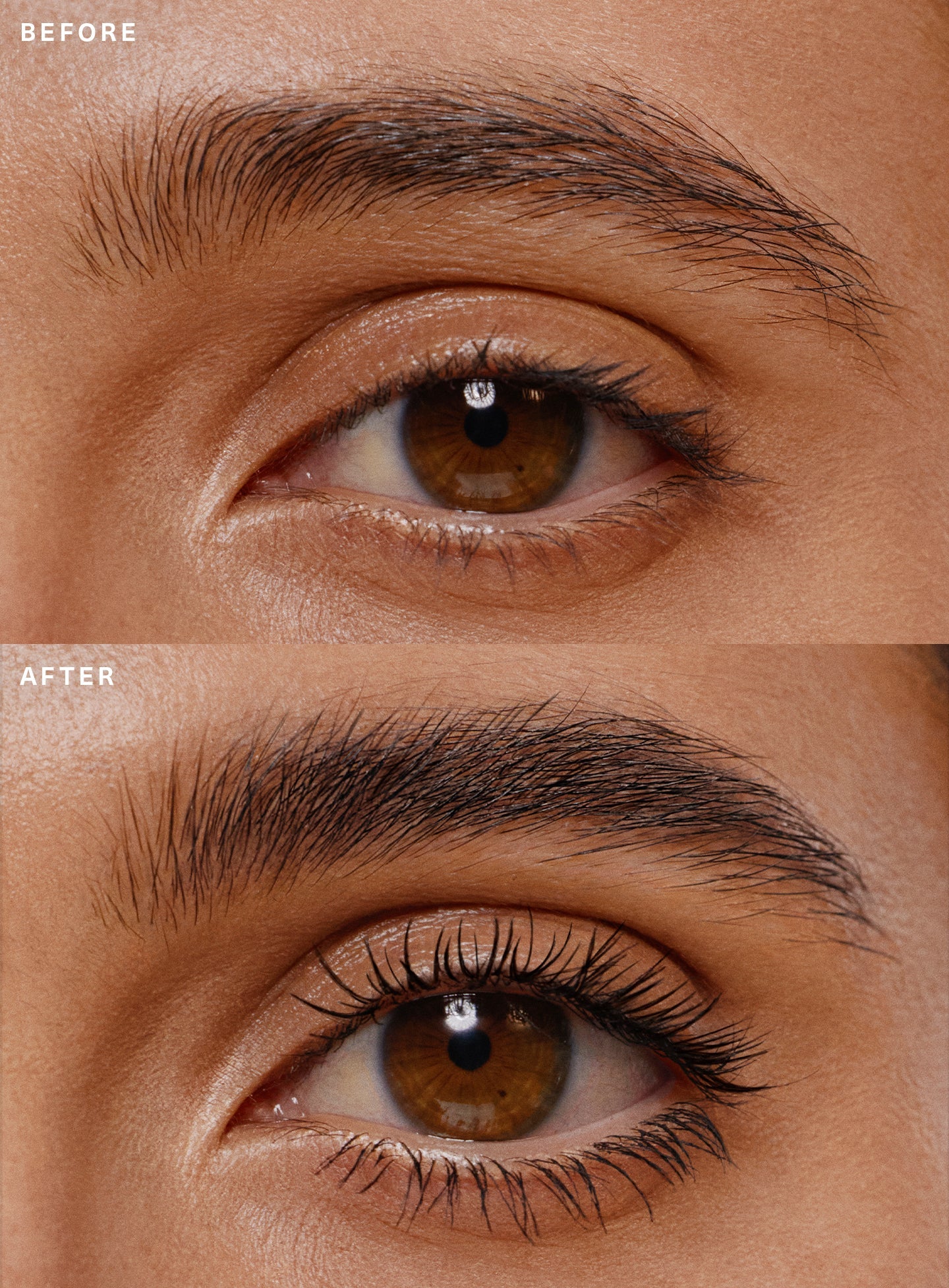Mascara Brow Gel Duo