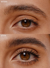 Mascara Brow Gel Duo