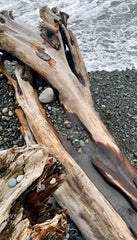 Ocean & Driftwood 12 oz scented candle