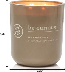 Candle Intentions Collection Candle Be Curious Possibilities are endless Black Birch Cedar 13 oz Home Décor