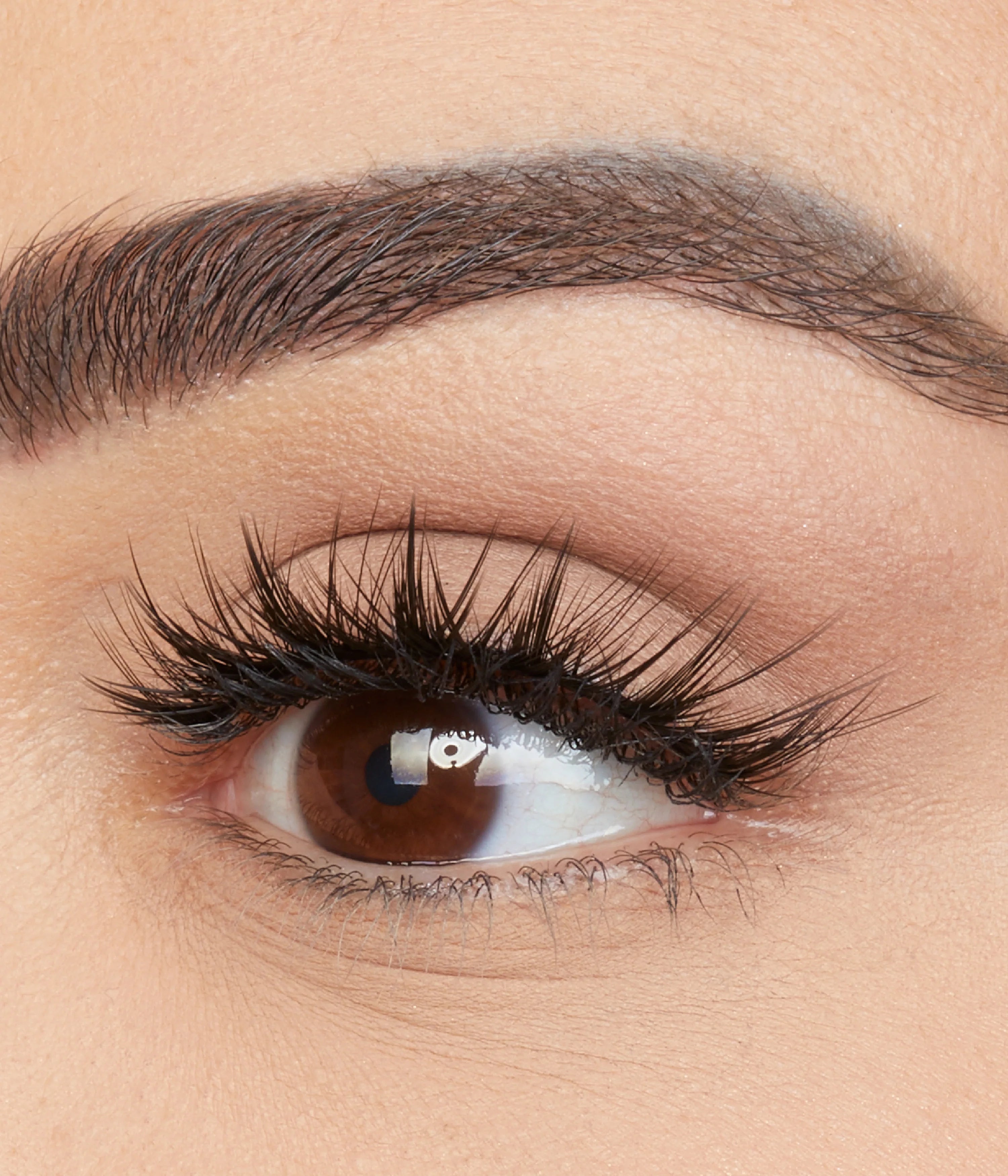 Classic False Lash Scarlett 8