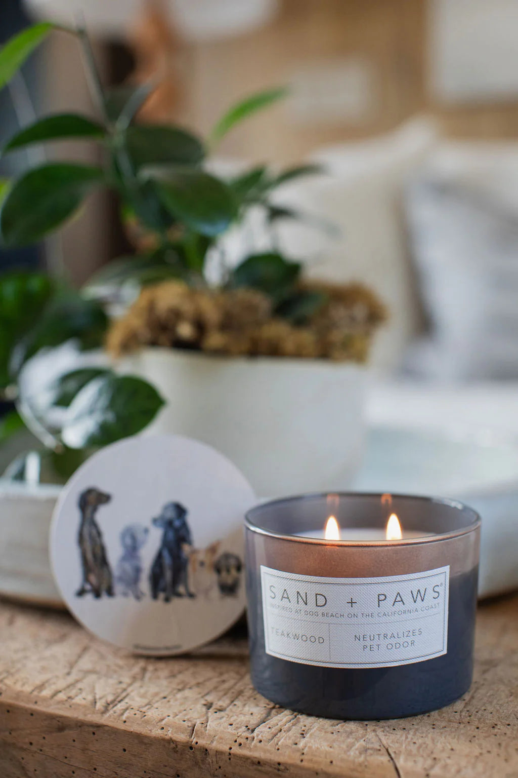 Sand + Paws Teakwood 12 oz scented candle