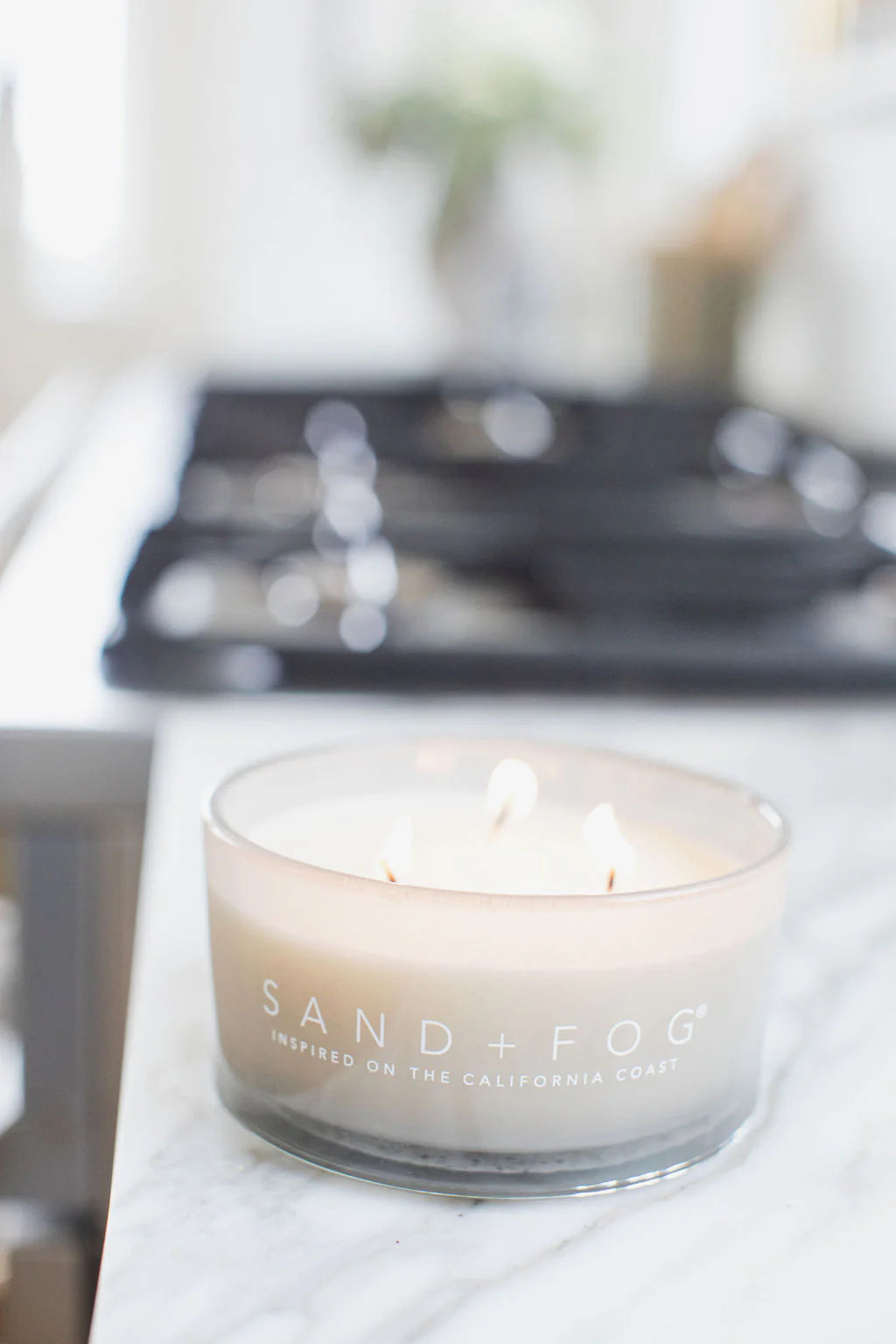 Vanilla Oud 10 oz scented candle