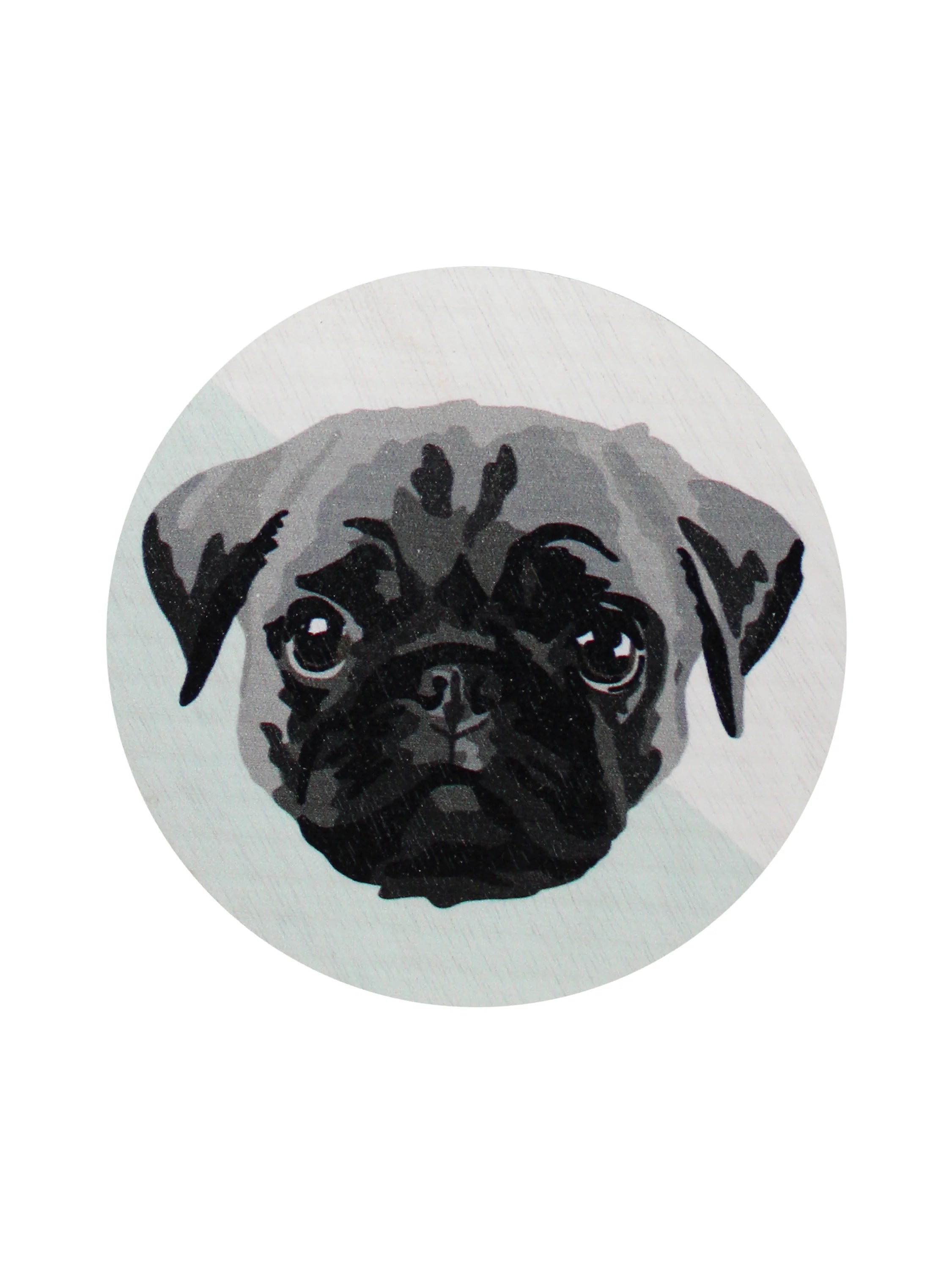 Sand + Paws Olive Lemon 21 oz scented candle