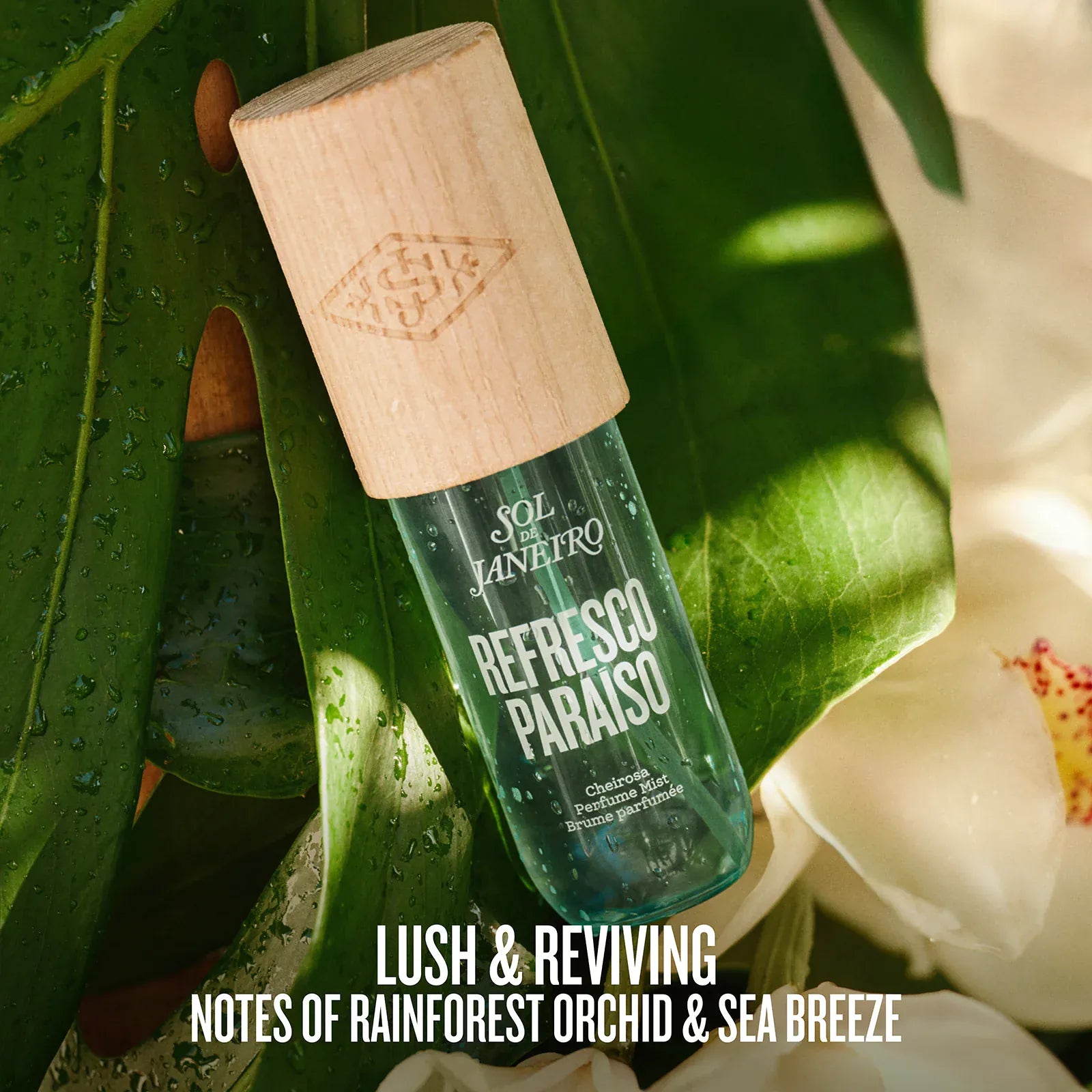 The Destination Drop Limited Edition Perfume Mist