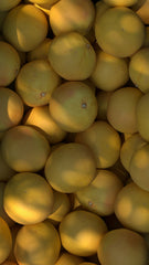 Sun Washed Citrus 21 oz scented candle