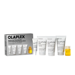 THE HEALTHY HAIR DISCOVERY SET